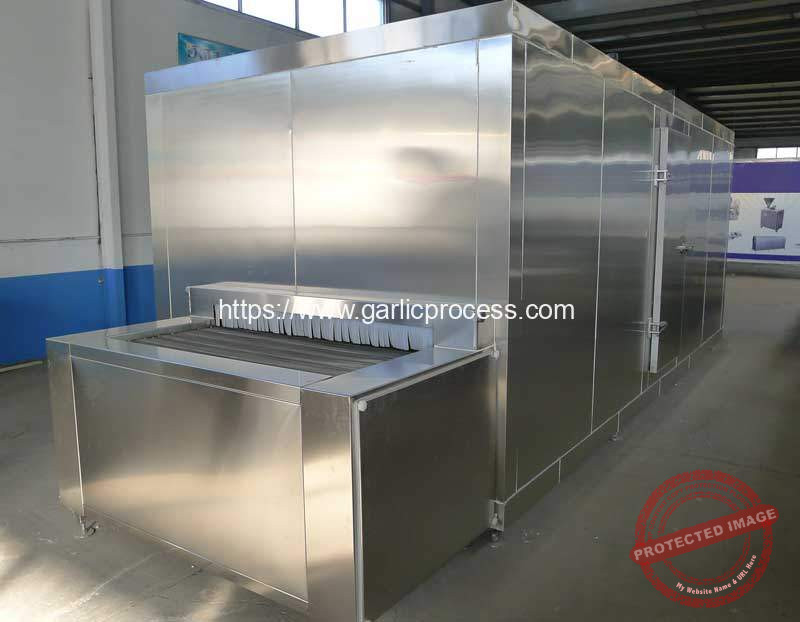 Full-Automatic-Tunnel-Type-Garlic-Clove-Instant-Freezer